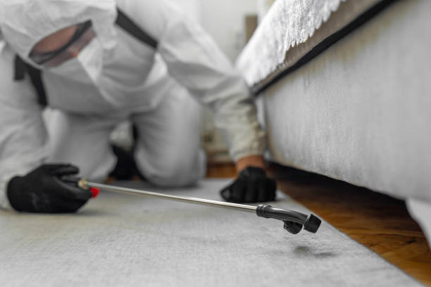Professional Ant Control technician working in Lackland AFB, TX