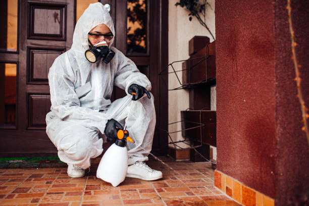Reliable Ant Control contractor in Lackland AFB, TX by Nex Pest Control