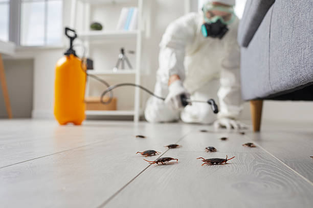 Trusted Fumigation Services service in Lackland AFB, TX - Nex Pest Control