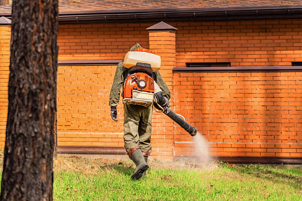Trusted Termite Control service in Lackland AFB, TX - Nex Pest Control